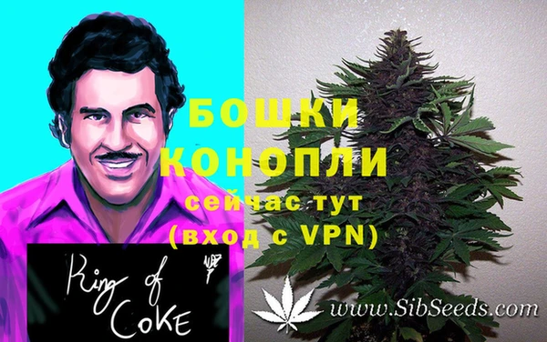 соль ск Остров