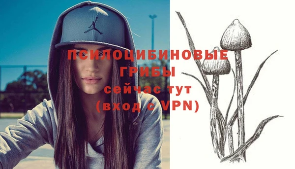 соль курить ск Няндома