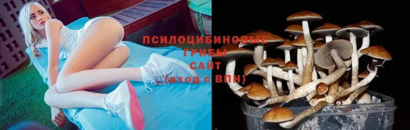 Галлюциногенные грибы Cubensis  Луза 